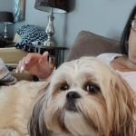 Louie Vuitton quintessential lap dog