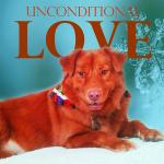 The Quest for Unconditional Love