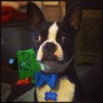 Cisco T Pup in his “Tux”