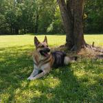 Kiel enjoying a day at the park.