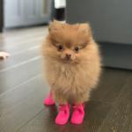 Wearing my new pink boots