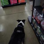 1st trip into the Pet store