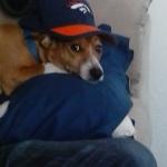 Brody with his Broncos Hat