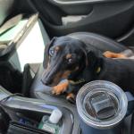 Riding along with