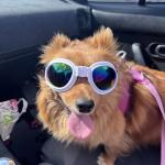 Chilling in the sun