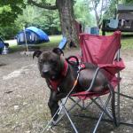 Our Jadey Girl Camping