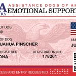 Support Dog Registration