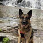 Chief at the waterfall