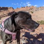 Cici at Arches National Park