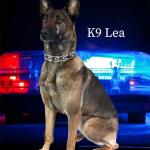 Lea K9 Law Enforcement
