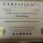 ESA Certificate for SheRa Adora