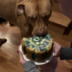 Eating his 3rd birthday cake