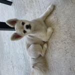 Jackson - March 16, 2015