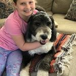 Brynley the loving Sheepadoodle