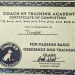 Basic Obedience