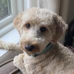 River with short haircut