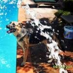 Bella get splashed