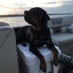 Mack on a boat