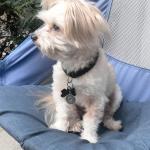 Relaxing outside